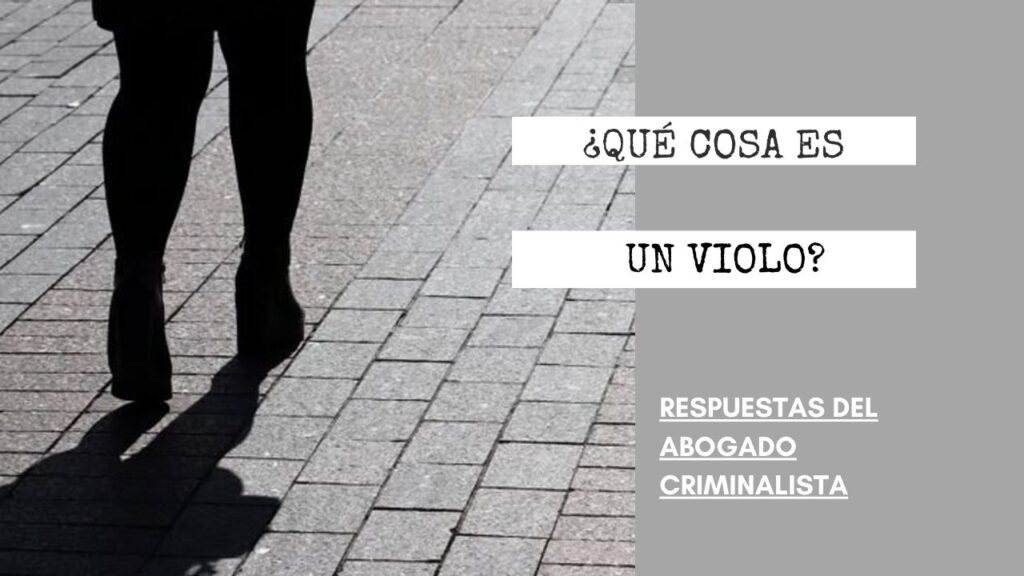 ¿QUÉ COSA ES UN VIOLO?