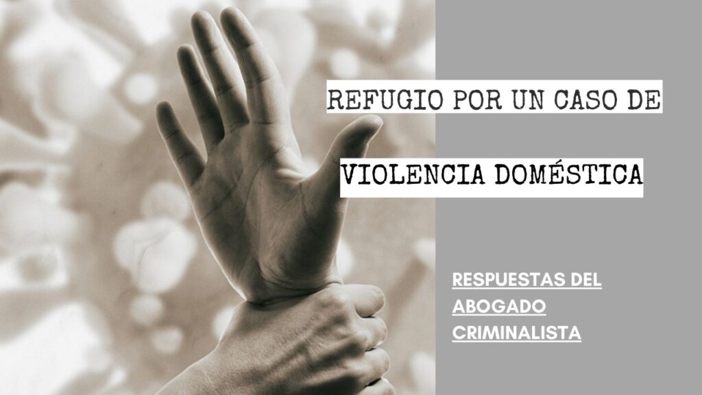 ¿QUÉ PUEDO HACER SI MI FAMILIA ESTÁ EN UN REFUGIO POR UN CASO DE VIOLENCIA DOMÉSTICA?